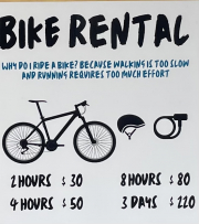 bike rental