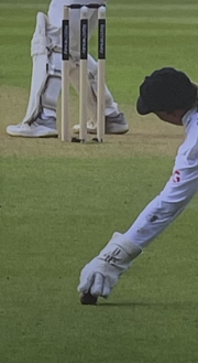 ball touched ground not out