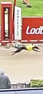 winner