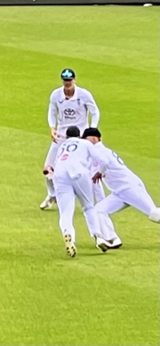 ball knocked forward into the hands of the wicket keeper - out