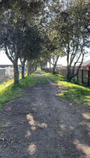 my favourite walk