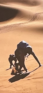 damn the sand is hot