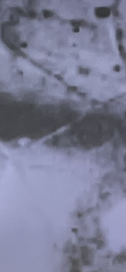 close up to the ear brow