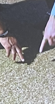 is that a crack i can see