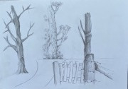 fence