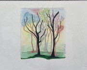 coloured trees