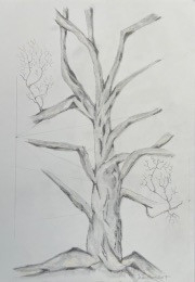 old tree