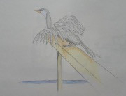 shag on a post