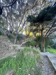 steps to the top of the mountain in Mount Manuganui