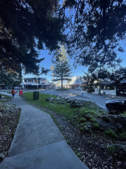 pathway to the shops in Mount Maunganui 