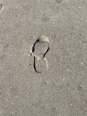 foot steps in the sand 