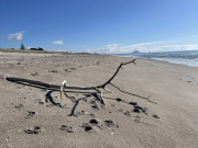 beach art