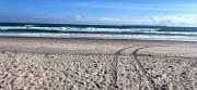 tire tracks out