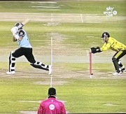 stumping 