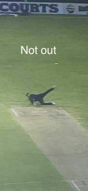 ball touch ground - not out