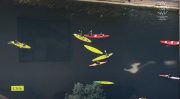 boats