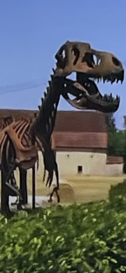 dinosaur