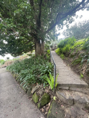 another path up