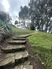 steps