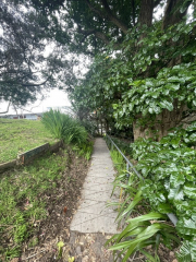 path down