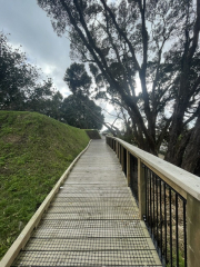 timber walk way