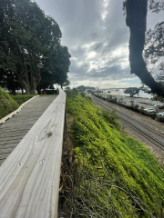 path by train tracks