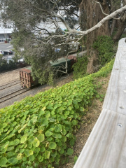 train