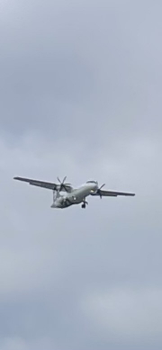fly me away