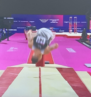 flipping of the horse