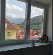 view from the window (2)
