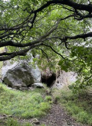 water hole