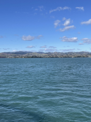 land in the back ground