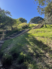 more steps to go