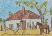 orginal drawing with horse