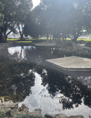 view of the pool
