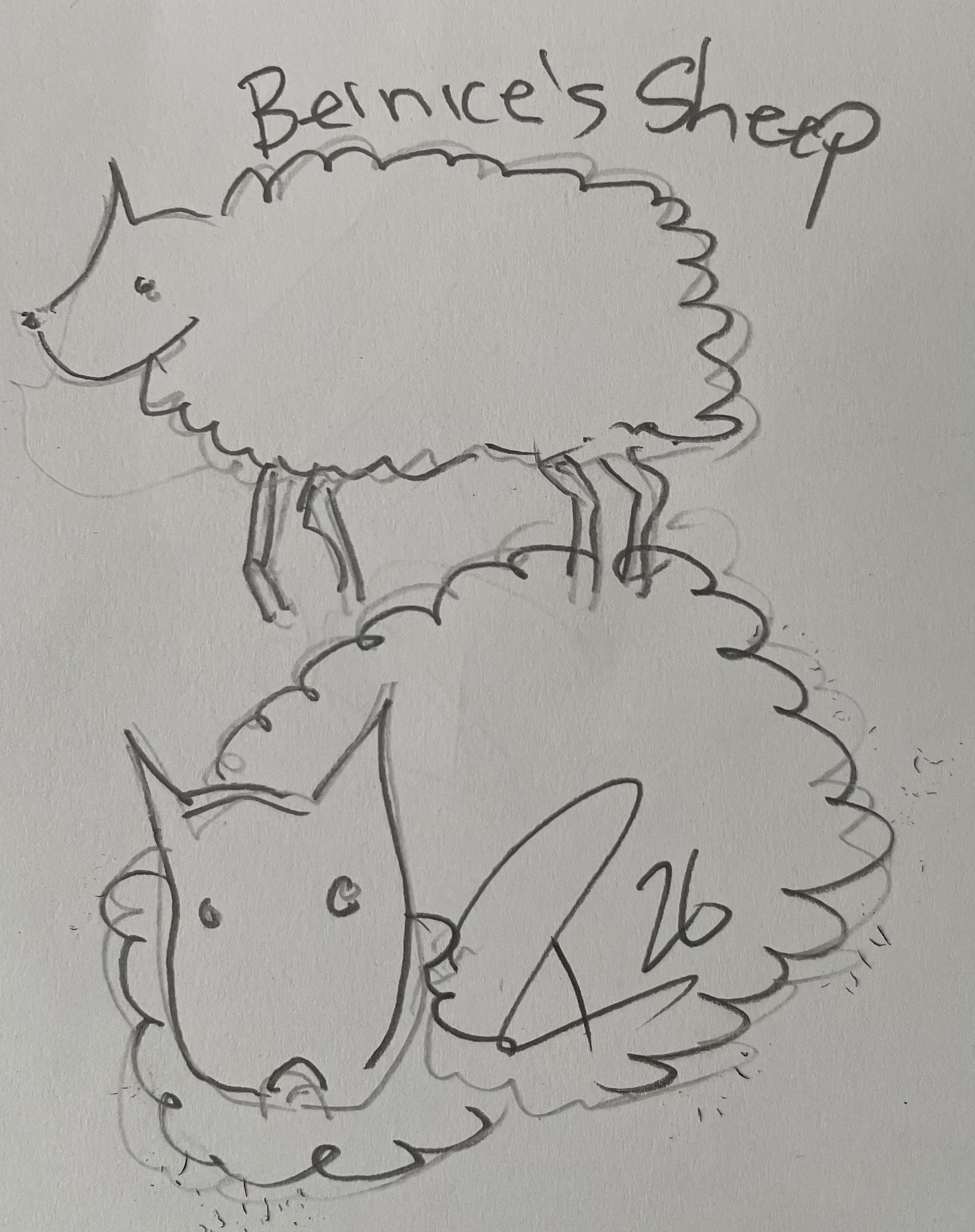 Bernices' sheep