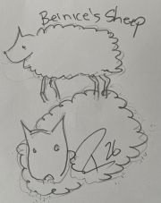 Bernices\' sheep