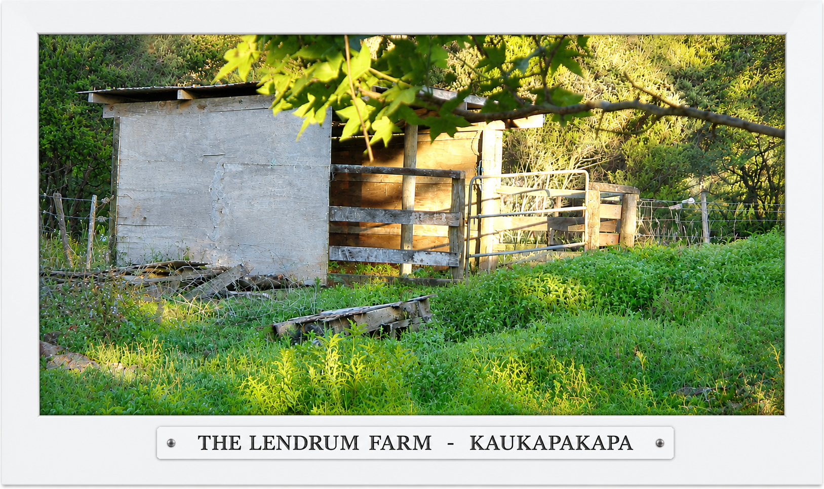 the lendrum farm