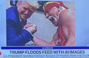 fight fight fight