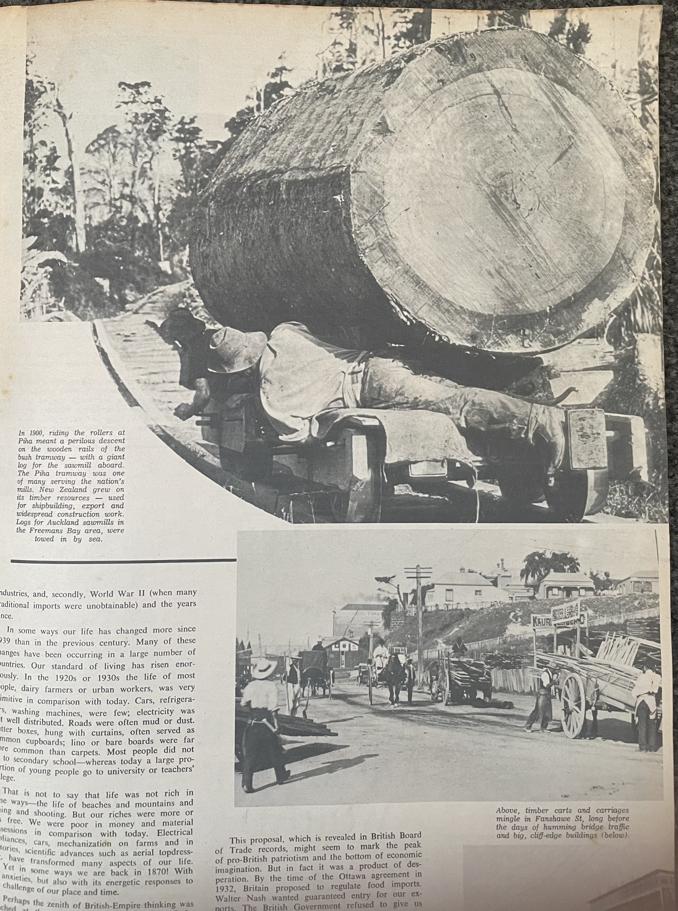 Nz Timber Industry C1900